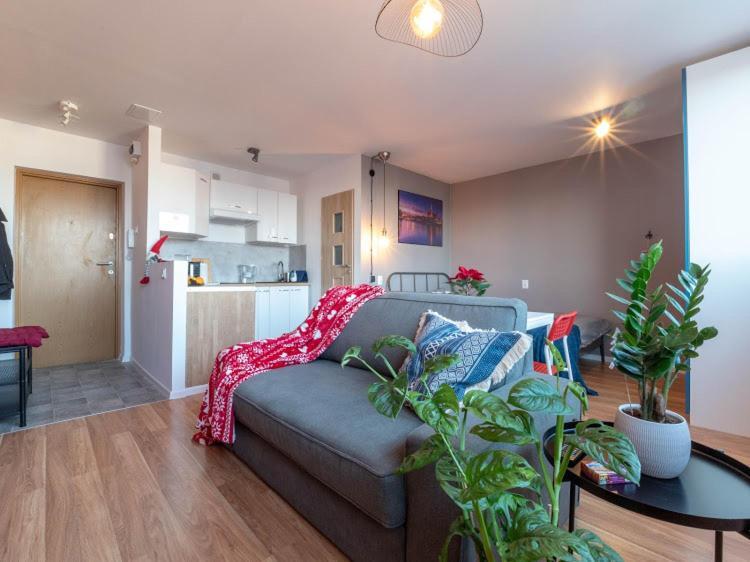 Apartment Modern In The Center Of Wroclaw!